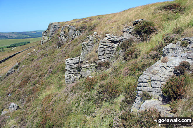 Walk d218 Black Edge (Combs Moss)from Old Road - Rock formations on Combs Head (Combs Moss)