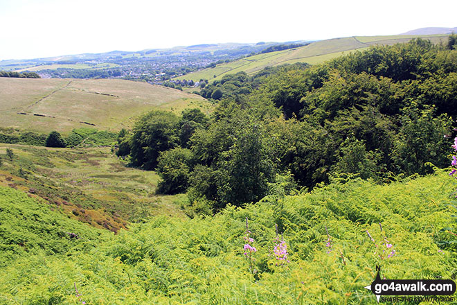 Walk d218 Black Edge (Combs Moss)from Old Road - Approaching Flint Clough