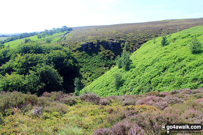 Walk d218 Black Edge (Combs Moss)from Old Road - Exiting Flint Clough