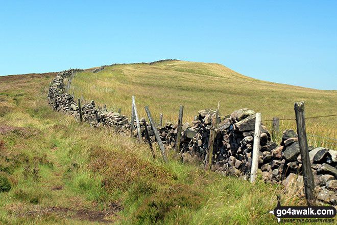 Walk d218 Black Edge (Combs Moss)from Old Road - Following the wall up to Black Edge (Combs Moss)