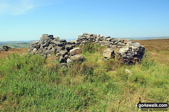 Ruin/shelter on Black Edge (Combs Moss)