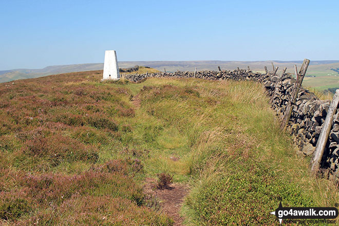 Walk d218 Black Edge (Combs Moss)from Old Road - Black Edge (Combs Moss) summit trig point