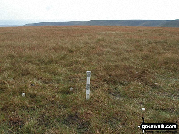 Feather Bed Top - the grassy summit of Featherbed Moss 