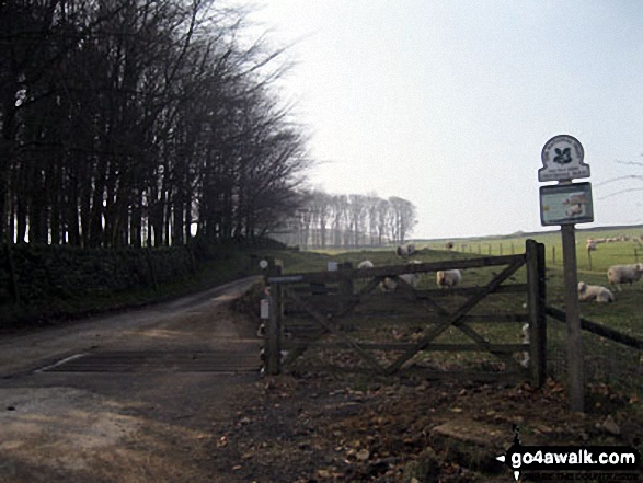 Walk d144 Winhill Pike (Win Hill) and Hope Cross from Yorkshire Bridge - Access Road to Crookhill Farm, Ladybower Reservoir