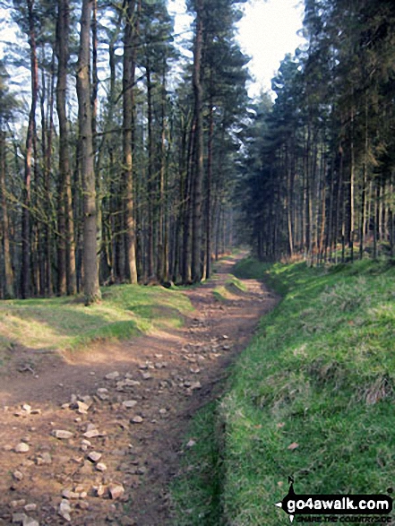 Walk d136 Crook Hill (Ladybower) from Ladybower Reservoir - Hagg Side Woods