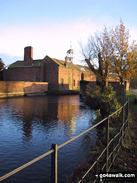 Dunham Massey Park 