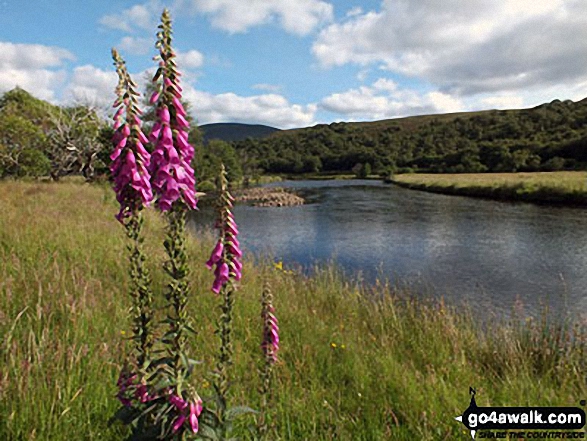 River Helmsdale, Strath of Kildonan (Strath Ullie) 