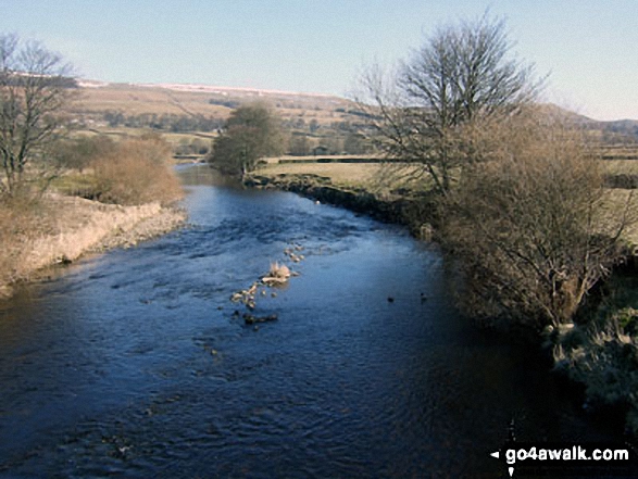 Walk ny114 Addlebrough via Worton Pasture from Askrigg, Wensleydale - The River Ure from Worton Bridge