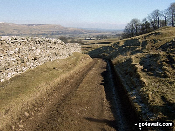 Walk ny114 Addlebrough via Worton Pasture from Askrigg, Wensleydale - On the Carpley Green Road (track)