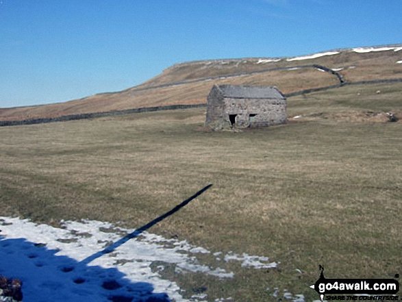 Walk ny114 Addlebrough via Worton Pasture from Askrigg, Wensleydale - Addlebrough from Carpley Green Farm