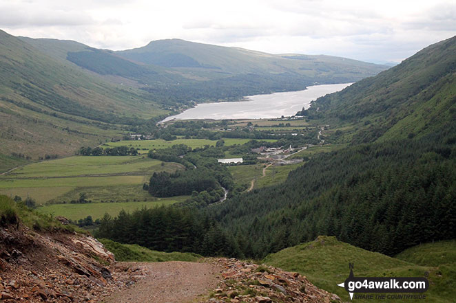 Loch Fyne and Inveerfyne from the slopes of Beinn Bhuidhe (Glen Fyne)