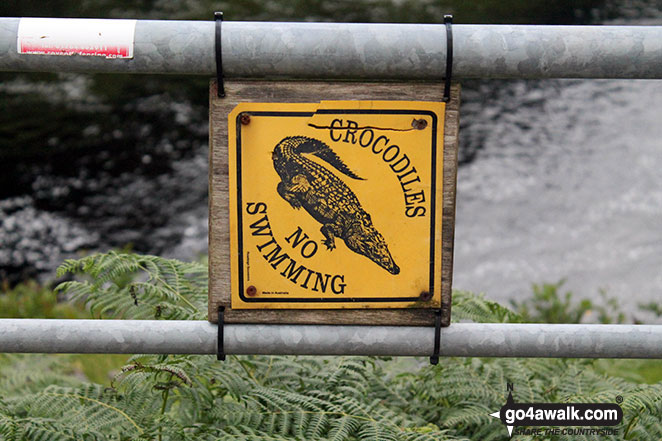 Sign on a gate in Glen Fyne Crocodiles - no swimming!