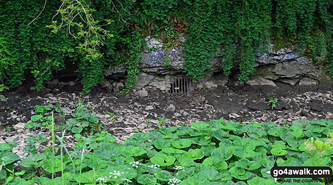 Walk s244 The Manifold Way, Thor's Cave  and Warslow from Grindon - The River Manifold below the  old bridge below Wettonmill