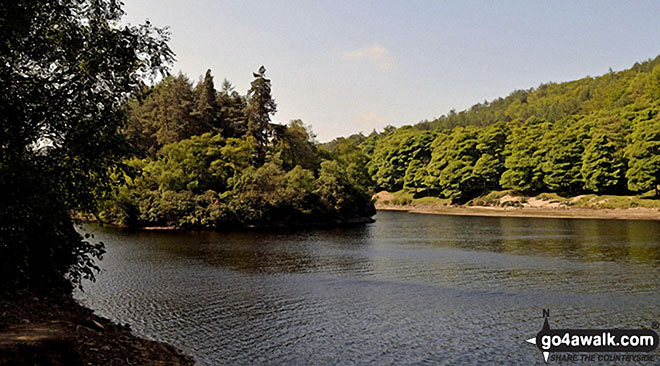 Walk d298 Back Tor and Margery Hill from Fairholmes Car Park, Ladybower Reservoir - Island Plantation in the middle of Derwent Reservoir