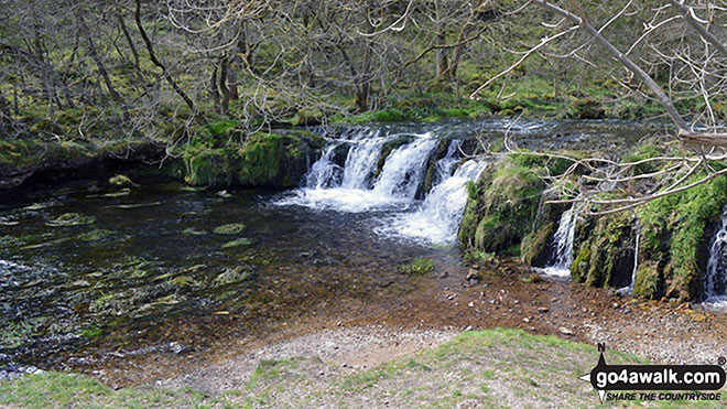 The River Lathkill in Lathkill Dale 