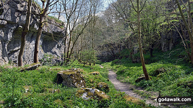 Walk d151 Youlgreave, The Limestone Way and Lathkill Dale from Over Haddon - Beautiful Lathkill Dale