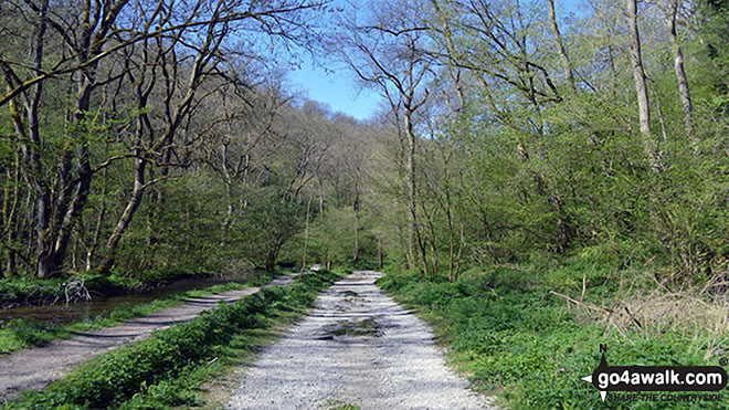 Walk d151 Youlgreave, The Limestone Way and Lathkill Dale from Over Haddon - Lovely Lathkill Dale