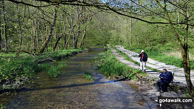 Walk d294 Sheldon and Lathkill Dale from Monyash - The River Lathkill in Lathkill Dale