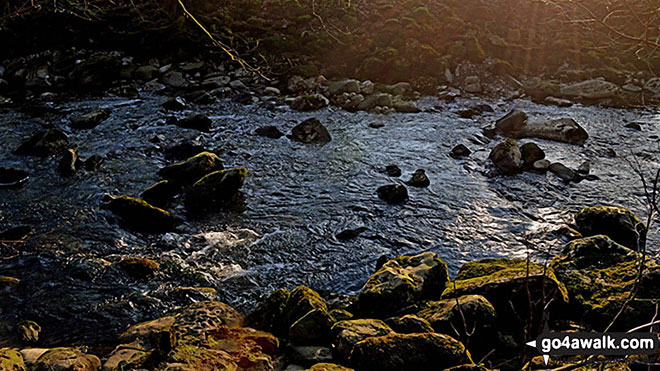 Walk ny184 Kingsdale, Beezley Falls and Snow Falls from Ingleton - The River Twiss on The Ingleton Waterfalls Trail