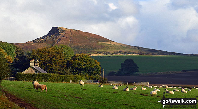 Roseberry Topping