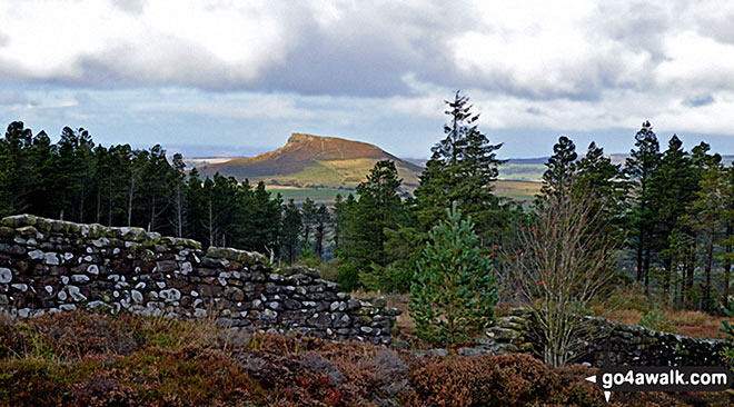 Roseberry Topping from near Captain Cook's Monument on Easby Moor