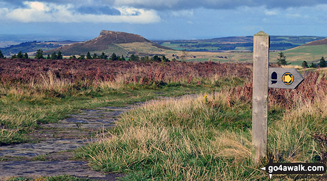 Roseberry Topping from the Cleveland Way near Captain Cook's Monument on Easby Moor 