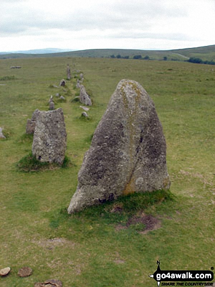 Walk de146 North Hessary Tor from Princetown - Stone Rows near Yellowmeade Farm