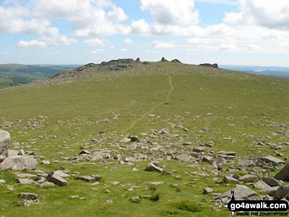 Walk de122 North Hessary Tor, Great Mis Tor and Great Staple Tor from Princetown - Great Staple Tor from Roos Tor