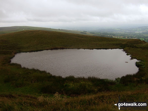 Walk s181 Merryton Low and The River Manifold from Longnor - Blake Mere (Merryton Low)