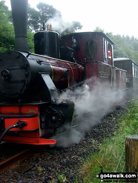 Brecon Mountain Railway Steam Engine The path gets really close to the railway line at times!