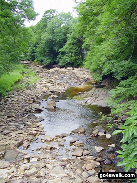 Walk ny103 Rogan's Seat and Water Crag (Arkengarthdale) from Keld - The River Swale at Keld