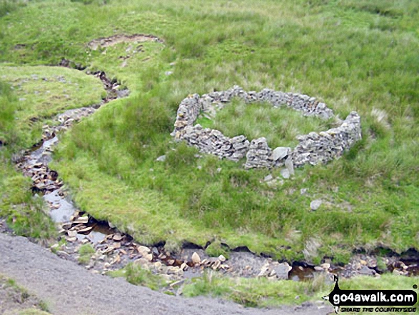 Walk ny145 Tan Hill and Robert's Seat from Keld - Sheepfold beside Stonesdale Beck