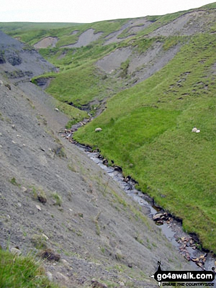 Walk ny145 Tan Hill and Robert's Seat from Keld - Thomas Gill Mea, West Stones Dale