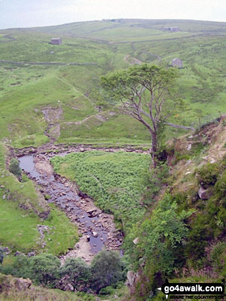 Walk ny103 Rogan's Seat and Water Crag (Arkengarthdale) from Keld - The River Swale at Keld