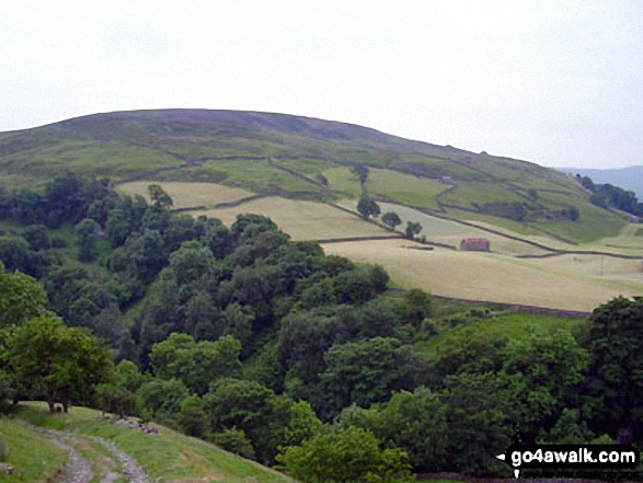 Walk ny103 Rogan's Seat and Water Crag (Arkengarthdale) from Keld - Kisdon from near Keld