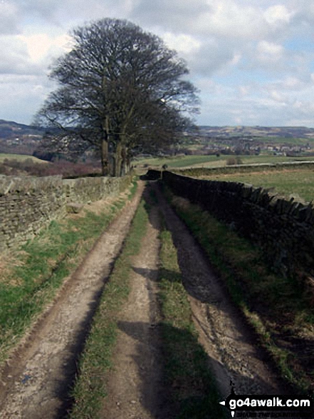 Walk wy108 Upperthong and Netherthong from Holmfirth - Footpath near Upperthong