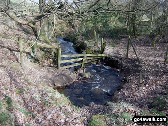 Walk wy108 Upperthong and Netherthong from Holmfirth - Woodland between Upperthong and Netherthong