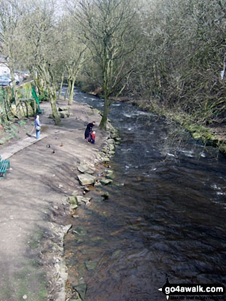 Walk wy108 Upperthong and Netherthong from Holmfirth - The River Holme, Holmfirth