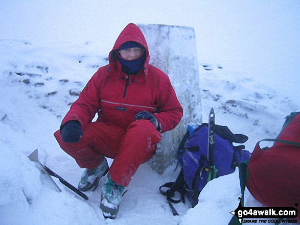 Isabella Davidson on Ben Wyvis (Glas Leathad Mor) in The Fannaichs and Ullapool Hills Highland Scotland