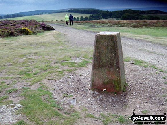 Black Hill (Quantocks) summit pillar 