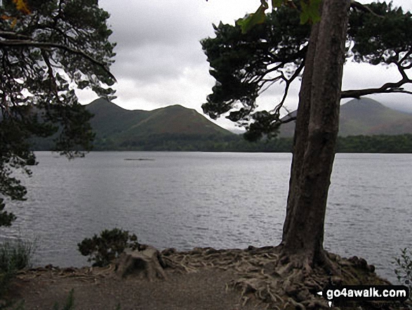 Walk c265 A Circuit of Derwent Water from Keswick - Derwent Water with Maiden Moor, Cat Bells (Catbells) and Causey Pike (right) beyond from Friar's Crag