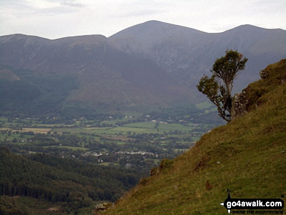 Walk c399 Cat Bells and Derwent Water from Keswick - Ullock Pike, Carl Side, Skiddaw and Little Man (Skiddaw) from Cat Bells (Catbells)