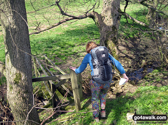 Walk s166 Butterton, Onecote and Upper Elkstone from Warslow - My wife descending to cross a stream near  to the River Hamps near Butterton Moor End Farm