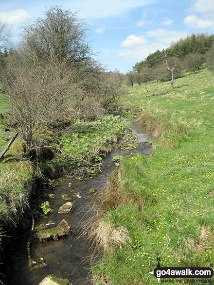 Walk s166 Butterton, Onecote and Upper Elkstone from Warslow - Stream near Breech Farm