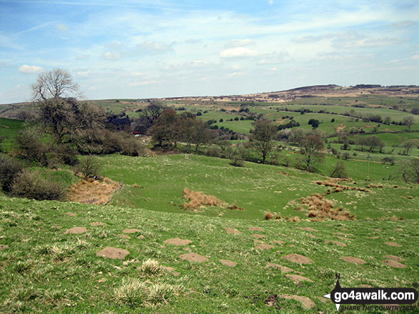 Butterton Moor from near Black Brook Farm 