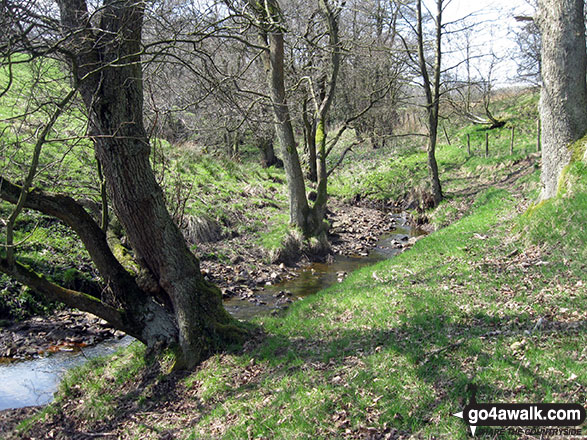 Walk s265 Old Mixon Hey from Butterton - Warslow Brook near Upper Elkstone