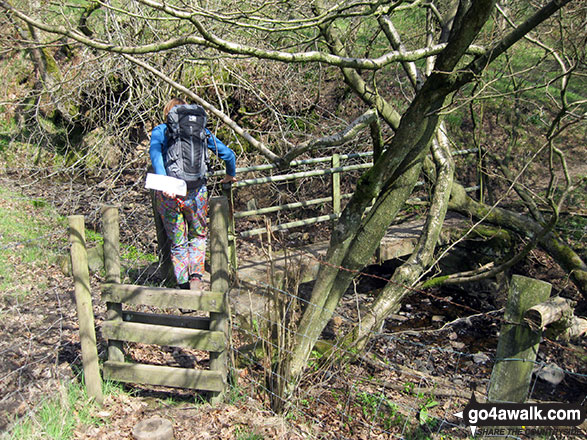 Walk s166 Butterton, Onecote and Upper Elkstone from Warslow - My wife negotiating a footbridge over Warslow Brook near Upper Elkstone