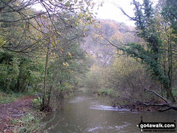 Walk d160 Upperdale, Water-cum-Jolly Dale and The Monsal Trail from Monsal Head - The River Wye in Water-cum-Jolly Dale