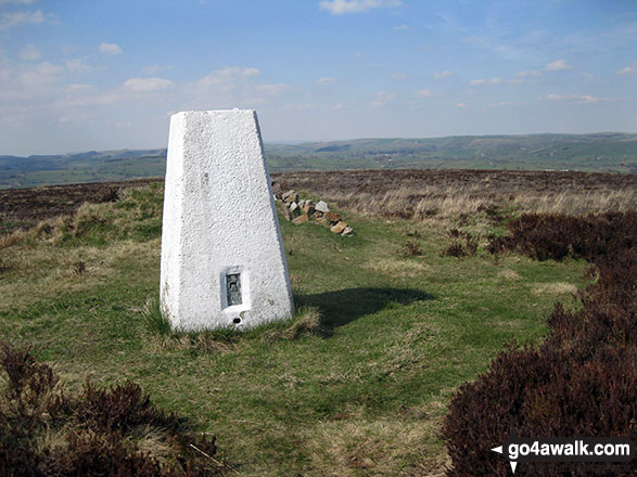 Walk s135 Revidge and Upper Elkstone from Butterton - Revidge summit Trig Point