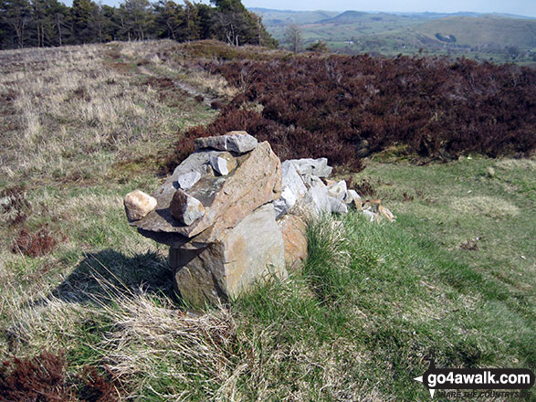 Walk s135 Revidge and Upper Elkstone from Butterton - Stone dragon sculpture on the summit of Revidge